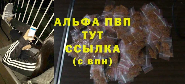 spice Баксан
