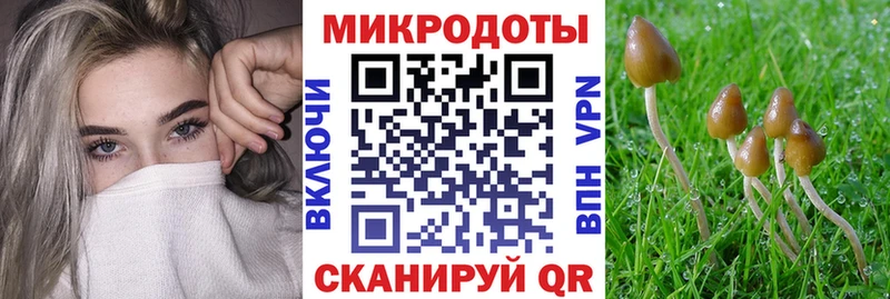 Галлюциногенные грибы Magic Shrooms  закладка  Тобольск 